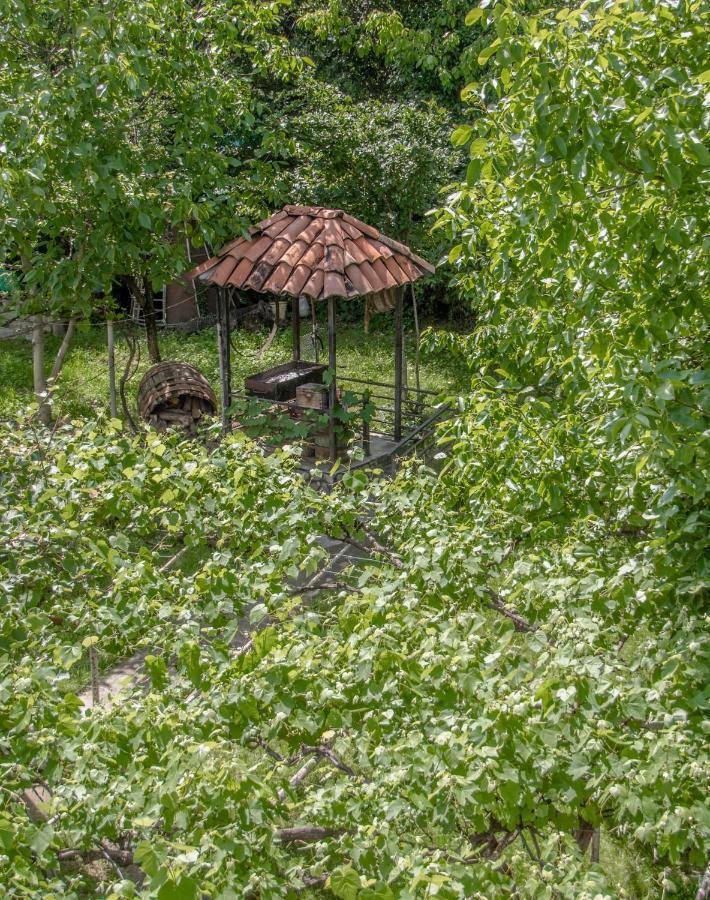 Qilimcha'S Guesthouse-Art Museum Telavi Exterior photo